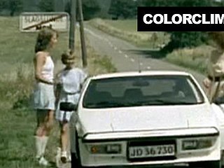 Transex選択