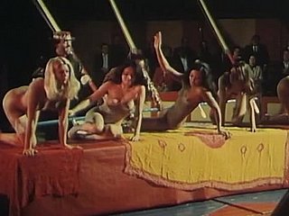Flu foire aux płci