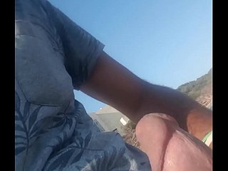 الديك التونسي الكبير