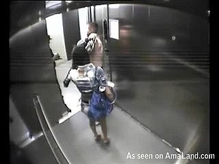 Brune chaude se jette sur young gentleman petit ami dans l'ascenseur