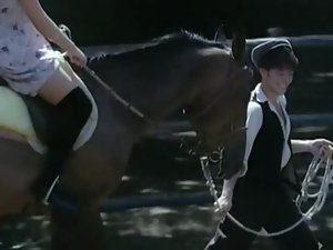 لا cousine (1995)