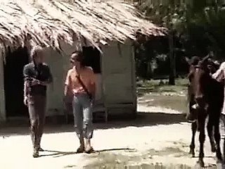 क्लासिक