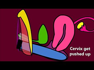 Cómo funciona el Vagina