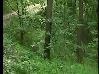 Jebacina na Avali Sırpça-Srpski tarafından KRMANJONAC