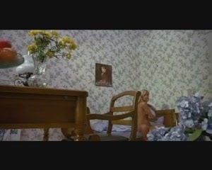 Nichten der Frau Oberst मरो