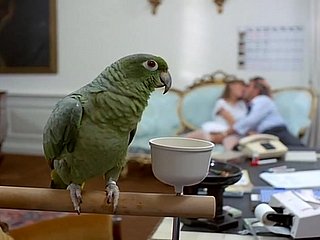 Симпатичные 8 блондинки младенец в старинных черных чулках делает классические глубокие минет